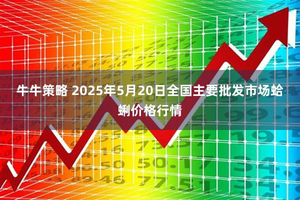 牛牛策略 2025年5月20日全国主要批发市场蛤蜊价格行情