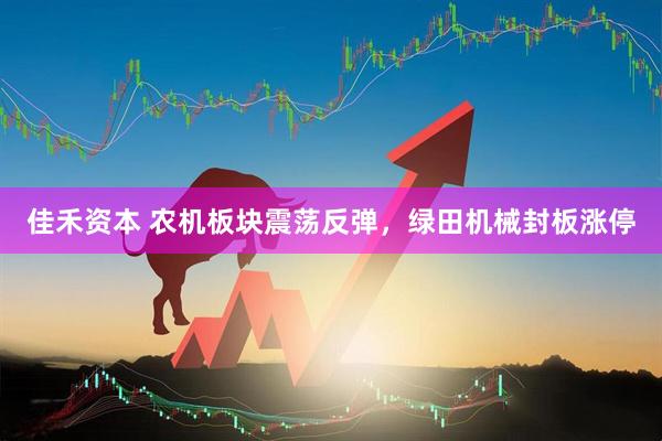 佳禾资本 农机板块震荡反弹，绿田机械封板涨停