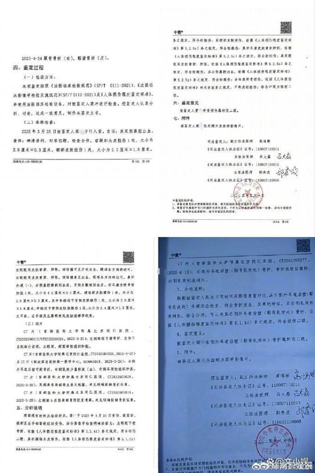 刘奕畅被曝酒后围殴他人 娱乐圈霸凌引热议