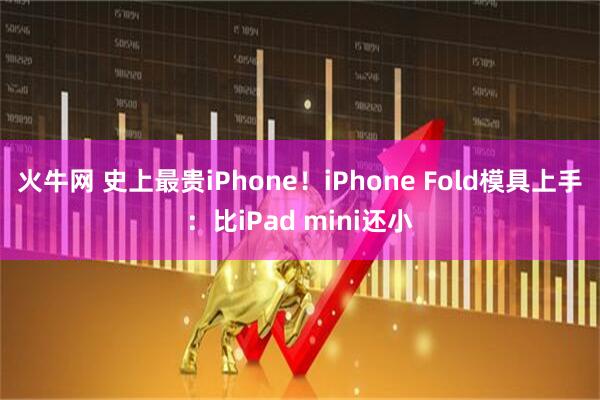 火牛网 史上最贵iPhone！iPhone Fold模具上手：比iPad mini还小